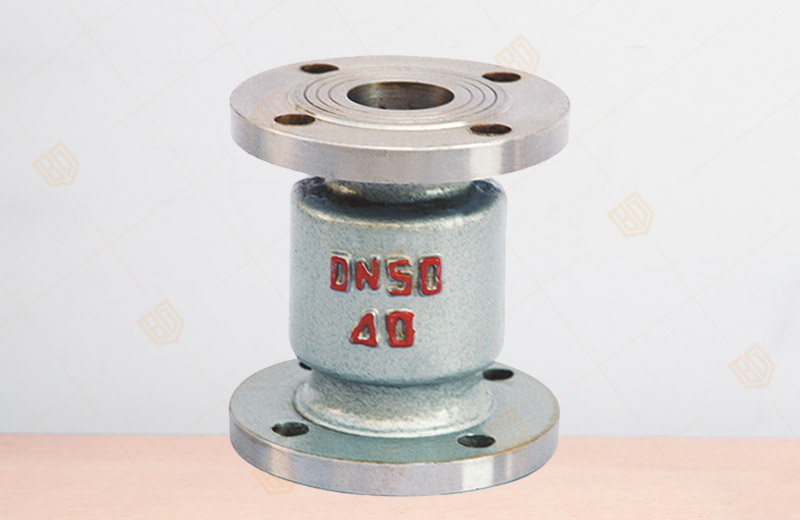 立式液化氣止回閥